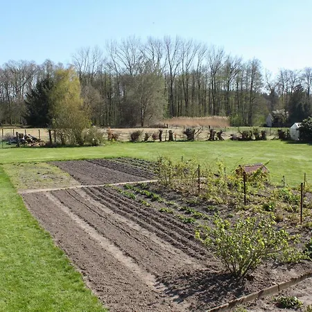 Gartenblick - A19374 Suderburg