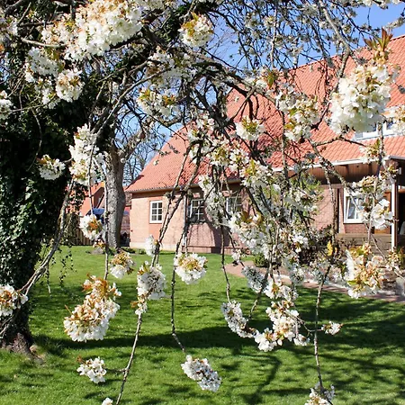 Gartenblick - A19374 Suderburg